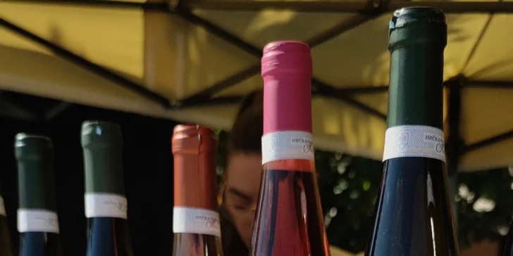 Degustácia zahŕňa 10 starostlivo vybraných vzoriek poctivého vína.
