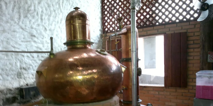 Na želanie pre vás zabezpečí návštevu pálenice miestnej pálenky cachaça s degustáciou.