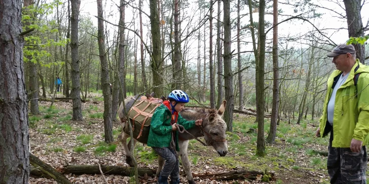 Děti se rychle naučí ovládání oslíků