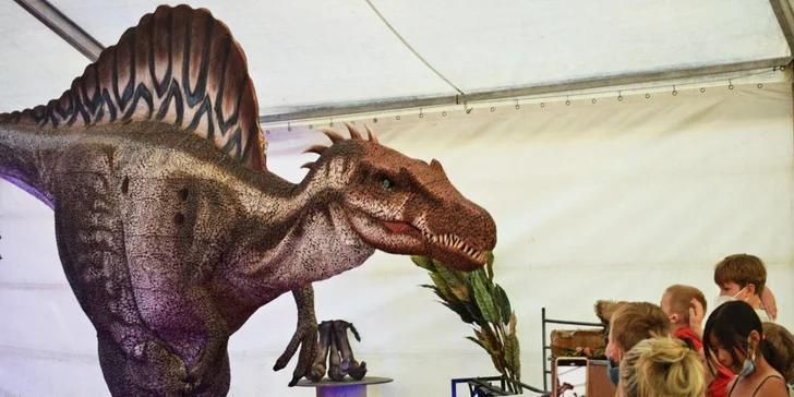 Interaktivní show Cestování s dinosaury je ještě tisíckrát lepší než všechny ty dokumenty v televizi. 