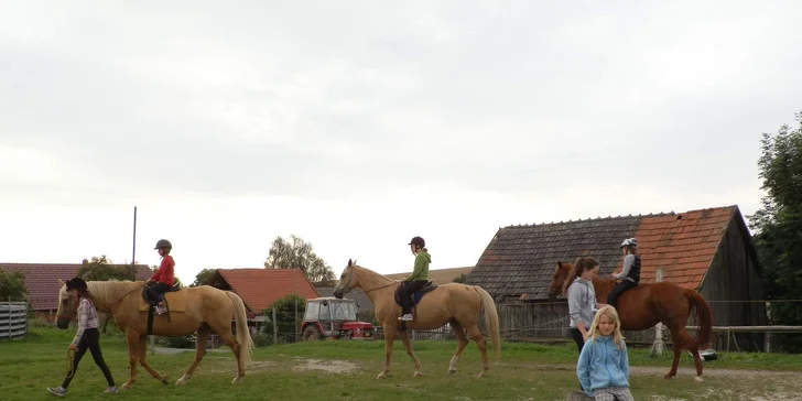 Kůň a člověk - to je láska na celý život.