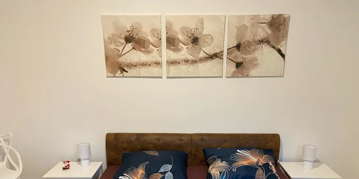 Môžete sa nasťahovať do apartmánu na prízemí (na fotografii) alebo na poschodí.