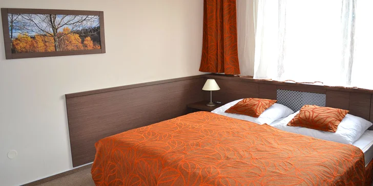 Ubytujete se v příjemných apartmánech.