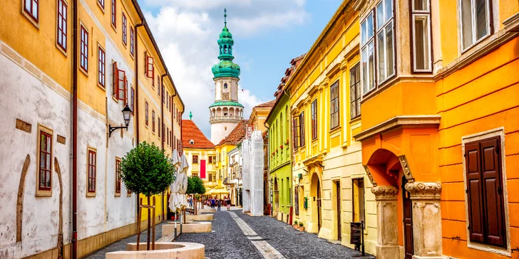 Hotel se nachází v blízkosti historického centra města (cca 350 m).
