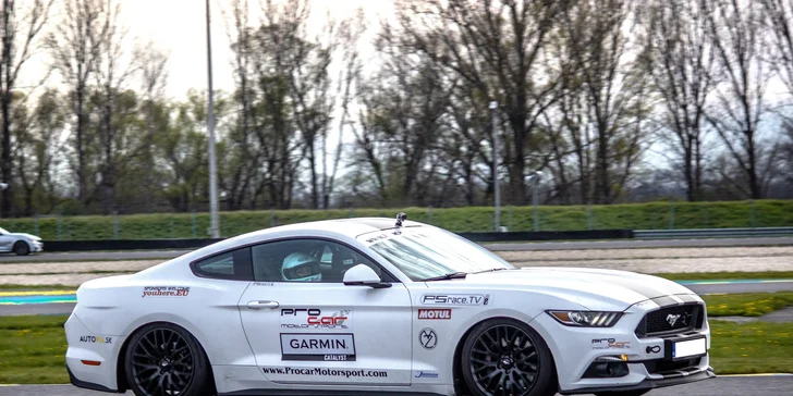 FORD MUSTANG GT 5.0 V8 CHALLENGE