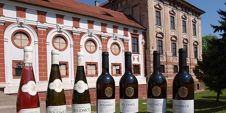 Během dvou degustací ochutnáte celkem 10 druhů vína. 