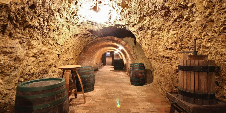 Malí vinaři Zaječí vás srdečně zvou na 5. festival Večerní otevřené sklepy Zaječí.
