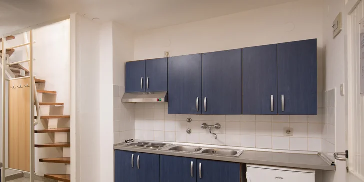 V apartmánech se ubytujete i s domácím mazlíčkem (za příplatek).