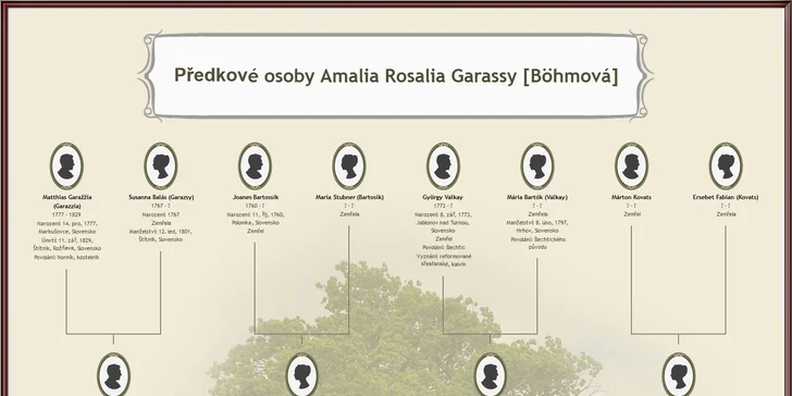 Ukázka rodinného stromu do 4. generace.