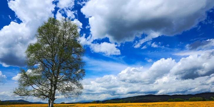 Vydejte se na výlety po okolí. Šumava nabízí tisíc míst k návštěvě.