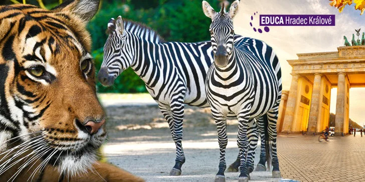 Výlet do Berlína s možností návštěvy ZOO