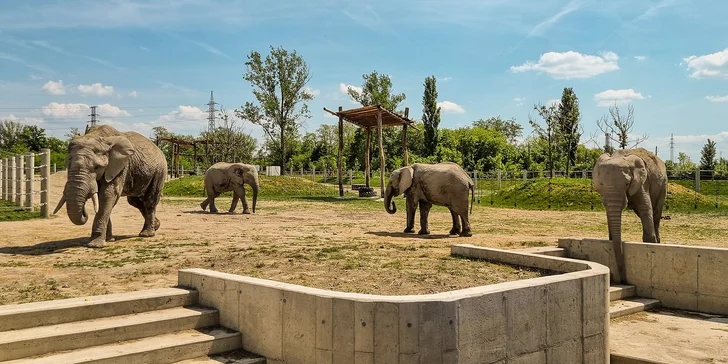 V ponuke varianty so vstupom do zoologickej záhrady v Győri