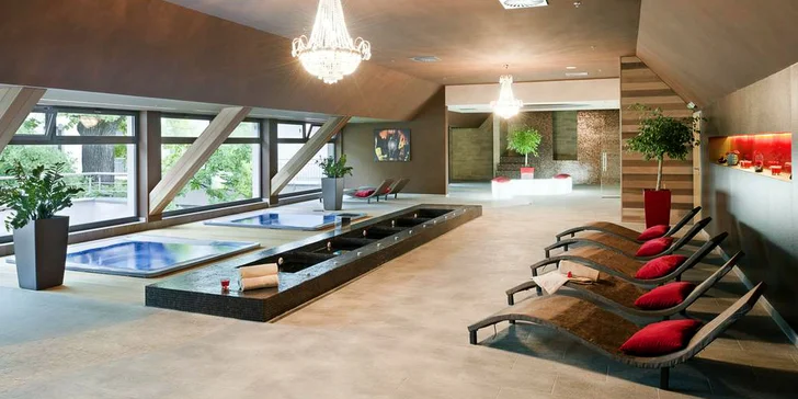 Letný wellness pobyt v Hoteli HOLIDAY INN Trnava****