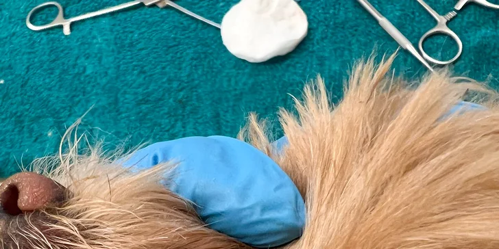 Dentálna hygiena ultrazvukom šetrne odstraňuje zubný kameň.
