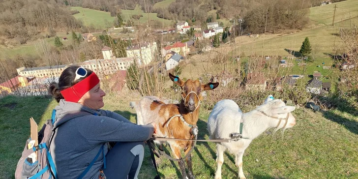 Na výběr jsou dvě 45minutové trasy nebo pěti- až 6hodinový výstup na zříceninu hradu Ostrý.
