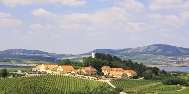 Kochejte se pohledem na CHKO a její vinice.