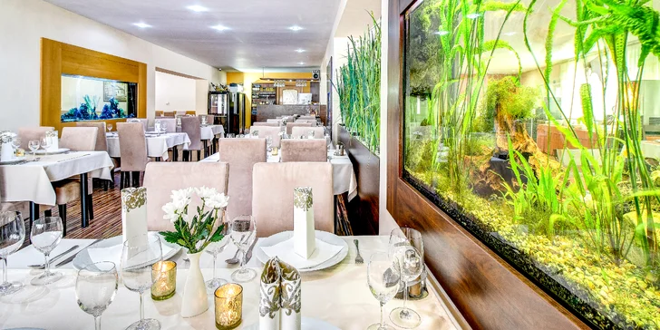 Dixon Resort nedávno prošel rozsáhlou rekonstrukcí.