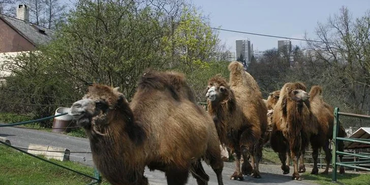 ZOO Ústí nad Labem