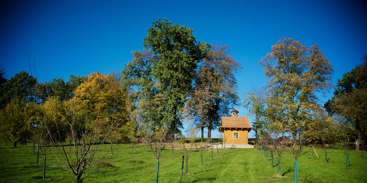 To si po 4–8 týdnech vyzvednete, a to pořádnou dávku – vlastního pěnivého zrzka budete mít rovnou 20 l.