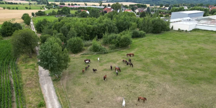 V ceně je i drobné občerstvení a focení.