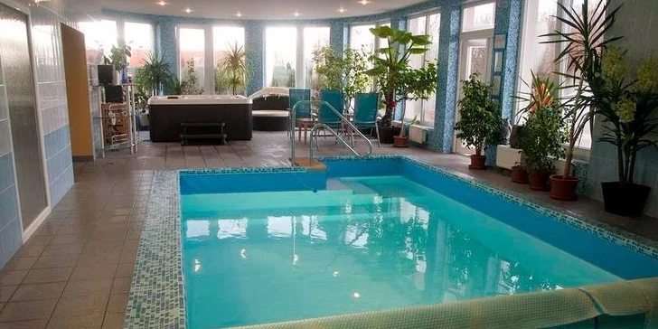Wellness centrum v penzióne je vybavené saunami, jacuzzi, vnútorným bazénom s protiprúdom, vonkajším bazénom a suchým uhličitým kúpeľom. V ponuke sú samozrejme aj rôzne zábaly a kvalitné masáže.