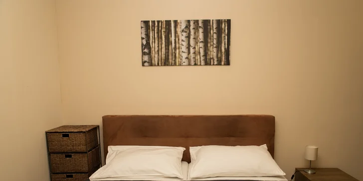 Pokoj je možné rozšířit o přistýlku. 