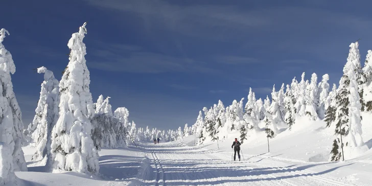 V okolí je velké množství běžkařských tratí i skiareálů.