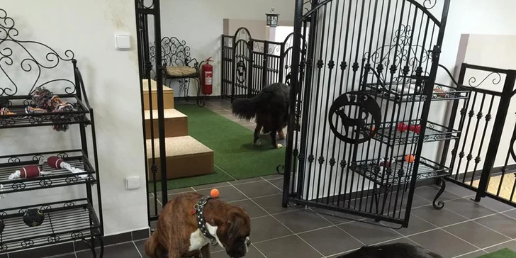 Můžete mu pořídit pobyt na 1 den a noc nebo 3 dny a 3 noci.