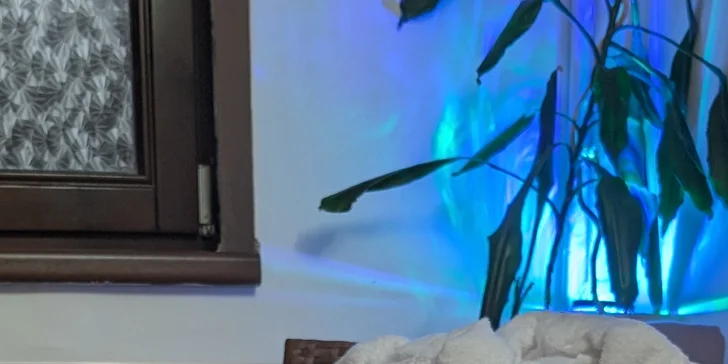 Objednat si můžete i nápoje. 
