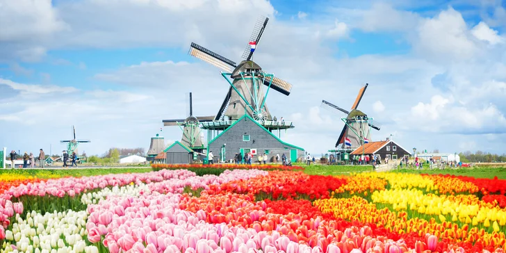 Rozkvetlý Keukenhof, Amsterdam, větrné mlýny: doprava, 2–3 noci se snídaní