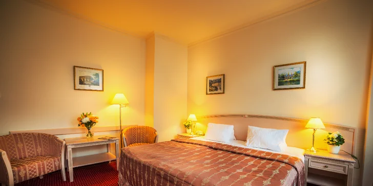 V pokoji je trezor, minibar i Wi-Fi připojení. 
