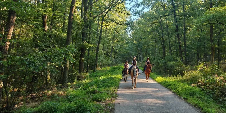Samotná vychádzka trvá 45 alebo 90 minút.