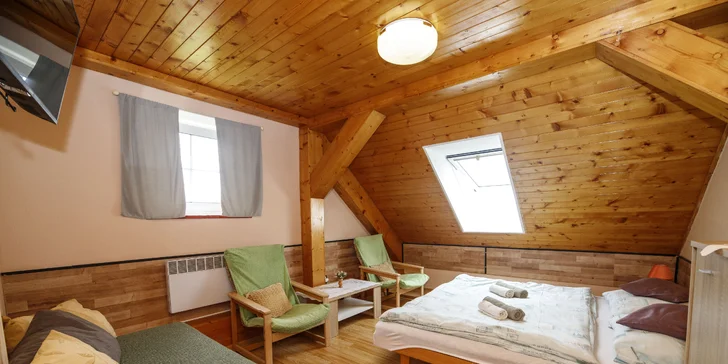 Z apartmánu je výhľad priamo na Lipno.