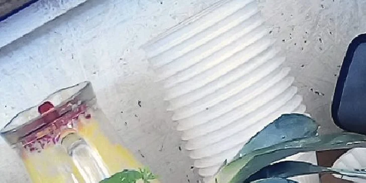 V ceně každé vstupenky je domácí limonáda.