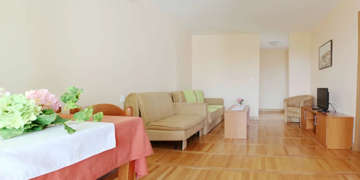 Větší apartmány mají dvě pohovky celkem pro 3 dospělé.