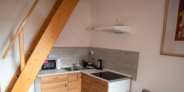 V nabídce penzionu je dvoupodlažní apartmá a rodinné apartmá se 2 ložnicemi. 
