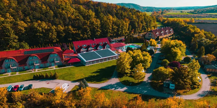 Hotel je obklopený krásným borovicovým lesem.
