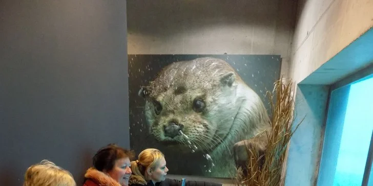 Tahle atrakce je prostě pro malé i velké.