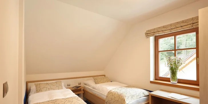 V apartmá i pokoji je také lednice (na fotce apartmá). 