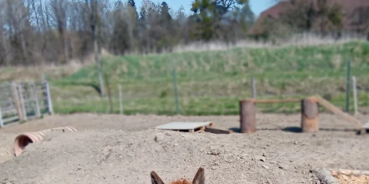 Na farmě Veselý dvoreček je čeká 30-60min. projížďka. 