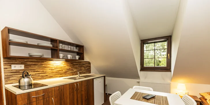 V nabídce chaty jsou dvou- až čtyřlůžkové apartmány.