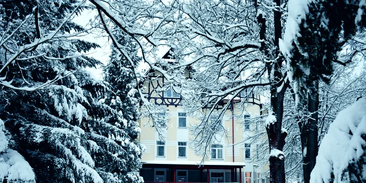 Vila je obklopená nádherným parkom.