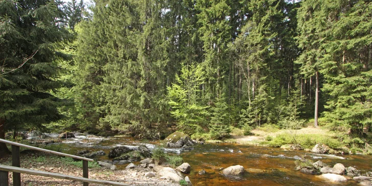 Turistické trasy začínají hned u hotelu. V balíčku máte i hodinové půjčení koloběžek. 
