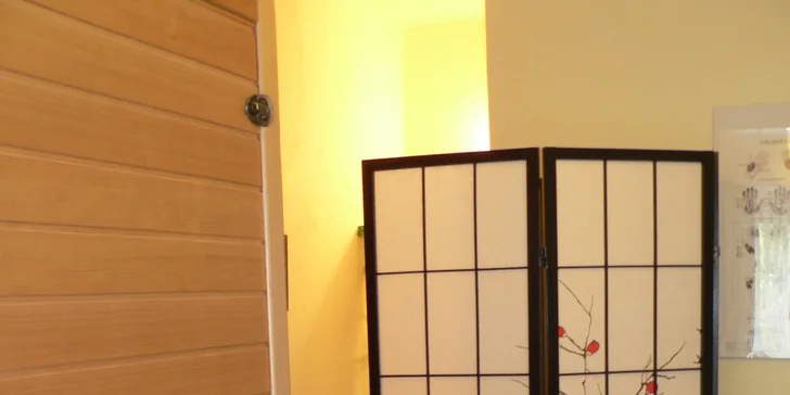 Hlavním úkolem této masážní techniky je harmonizovat tok vitální energie Čchi a tok krve.