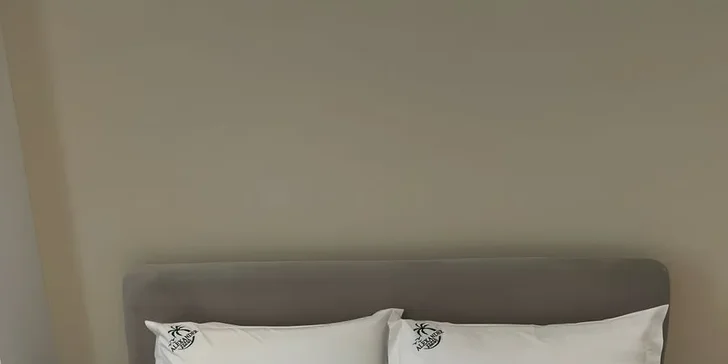 Nechybí vlastní koupelna se sprchou a balkon.