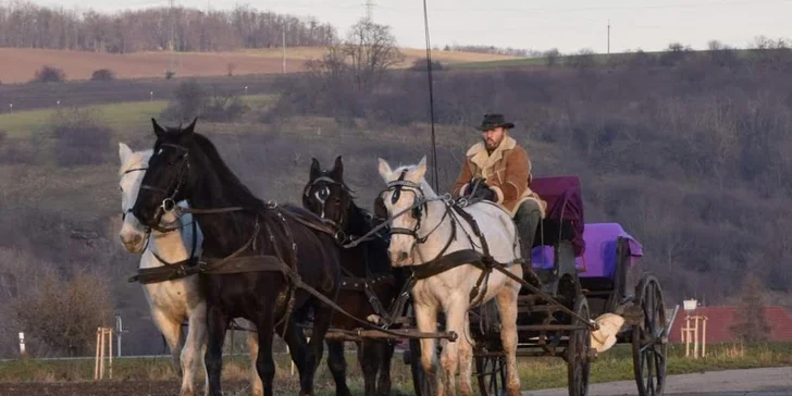 Pokud byste měli výlet rádi ještě o něco víc romantický, vsaďte na 90min. projížďku kočárem.