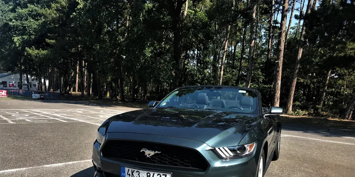 Tohle žihadlo si můžete užít ve více řidičích a s neomezeným nájezdem kilometrů. 