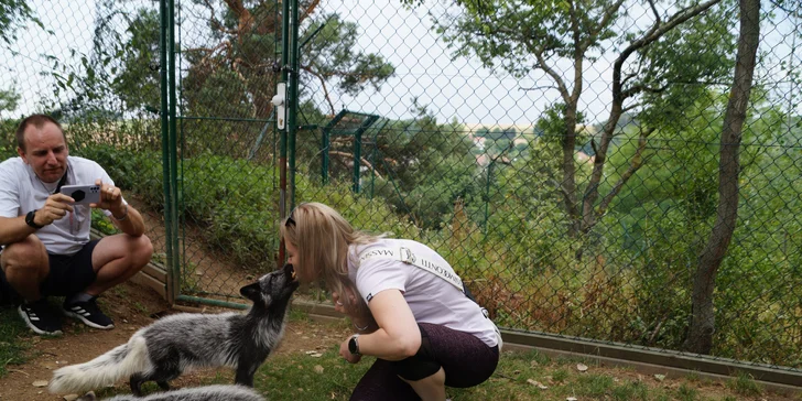 Návštěva je individuální, nebudou přítomni žádní další návštěvníci. Jen vy dva, tři nebo čtyři.