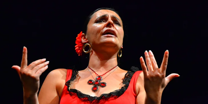 Vstupenka na koncert Španělský večer s Carmen