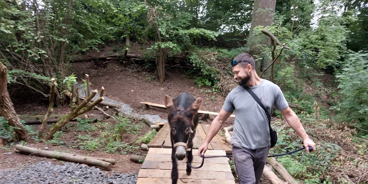 V areálu v Českém ráji mají dostatek přírodních překážek pro trénování vůdcovských dovedností s oslíkem.
